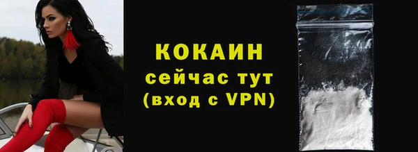 мдпв Тобольск