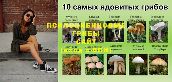 мдпв Тобольск