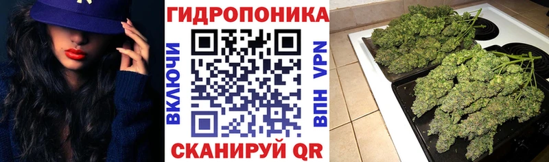 магазин продажи наркотиков Теберда мега онион Каннабис ГИДРОПОН